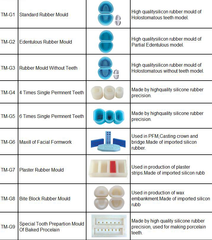 TM-C2 Pathology Model with a tooth missing